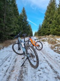 e Bike im Harz