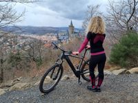 Blick über das Wernigeröder Schloss im Harz - E-Bike